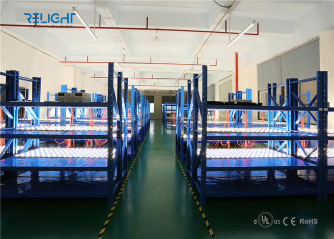 Shenzhen Relight Technology Co.,Ltd